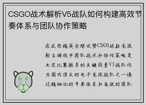 CSGO战术解析V5战队如何构建高效节奏体系与团队协作策略